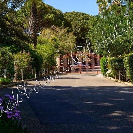 Magnifique Parc De La Presqu'Ile Avec Piscine Et Plage Face A Porquerolles ! Hyeres Exterior photo