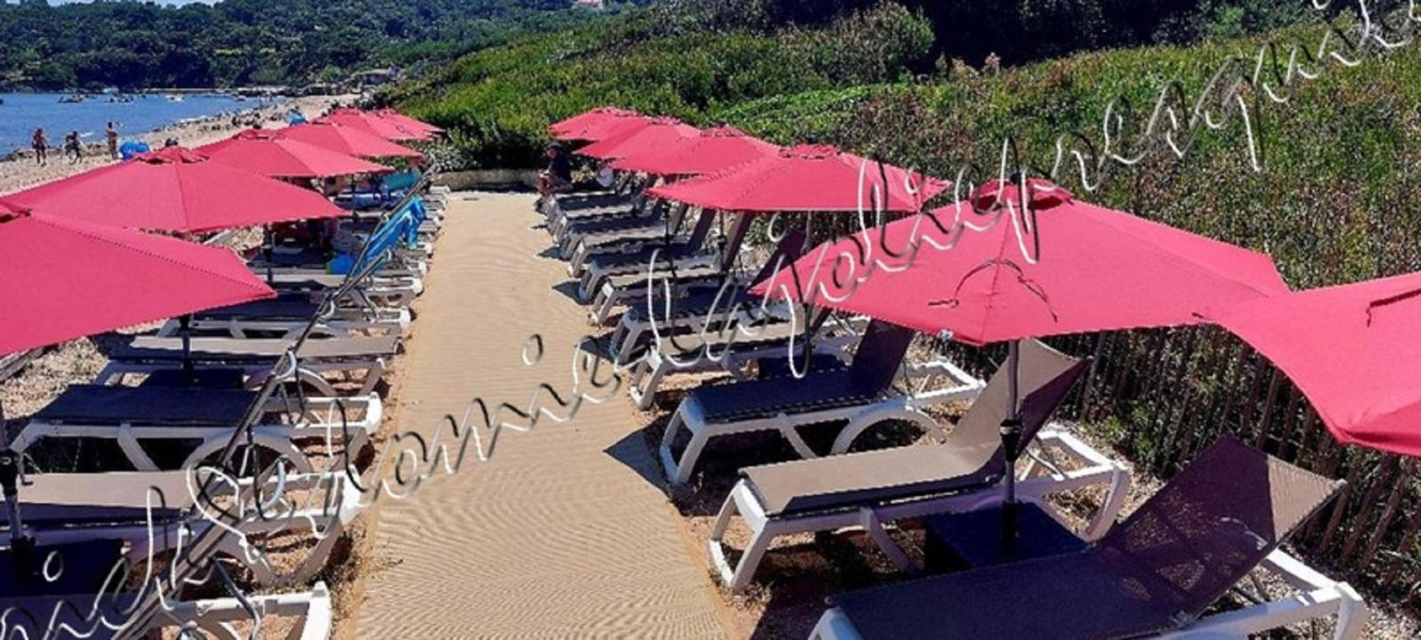 Magnifique Parc De La Presqu'Ile Avec Piscine Et Plage Face A Porquerolles ! Hyeres Exterior photo