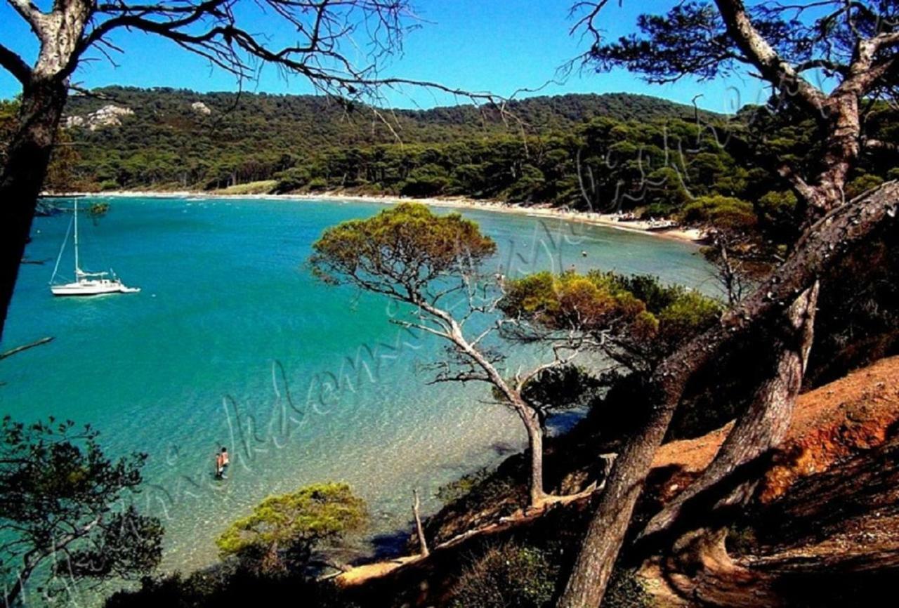 Magnifique Parc De La Presqu'Ile Avec Piscine Et Plage Face A Porquerolles ! Hyeres Exterior photo